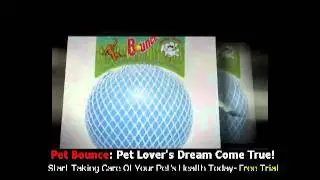Pet Bounce - All Natural Joint Pain Relief for Pet