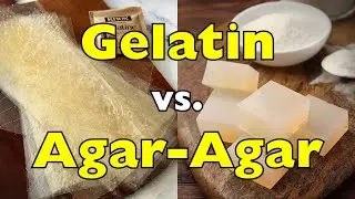 Agar-Agar vs Gelatin: Which One Should You Use?