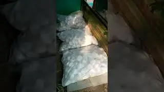 Creative  world landscaping Pakistan Pebble Stone Loading Delivery of HH DHA Phase 4 Lahore