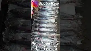 Spanish Mackerel ปลาอินทรีย์ from Mae Klong River Thailand | Omega 3 | Healthy Fats #shorts