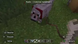Minecraft_20260113121306