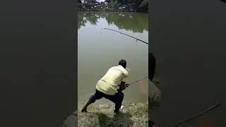 Freshwater Fishing Adventures: The Ultimate Lake Sport Experience