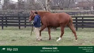 Hip #221 - Klimova (GB), Broodmare by Intello (Get) (IF to Corniche)