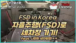 테슬라 자율주행 FSD로 세차장 가기 feat. 나만의 세차 방법!!