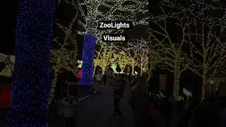 Must visit event in Washington DC during holidays #hiphop #rap #zoolights #zoo