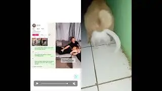 Mantan pelacur Echi cahaya demi Alloh SWT Sumpah Alquran