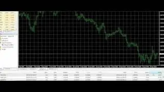 Forex Megadroid Pro Live Results - Week 9