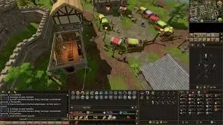Let's Play Runescape Hardcore Ironman #10 25Jahre V (Event) Katzenchaos