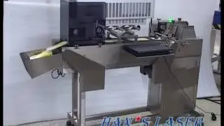 On-the-fly laser marking system for medicine box