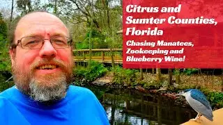 Homosassa Springs to Oxford Florida