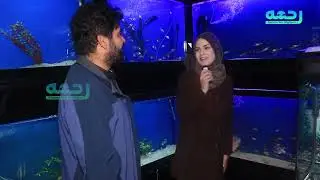 ماهی فروشی های زینتی شهر نو کابل