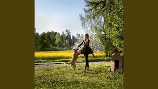 Reede avab v&auml;ravad