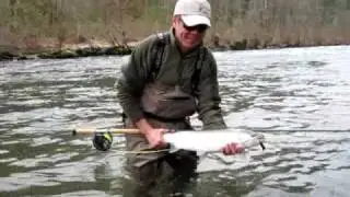 The Ambush Fly Line