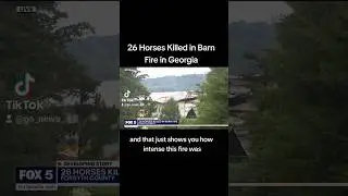 26 Horses Killed in Barn Fire in Georgia #fox5atlanta #horses #barnfire #forsythcountyga