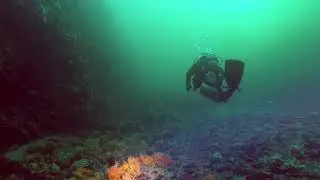 Vevangstraumen Januar 2018
