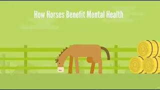 How Horses Benefit Our Mental Health