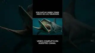 Por ESTO no debes tener MIEDO de los TIBURONES! 😱🦈 #shorts #africa #sudafrica
