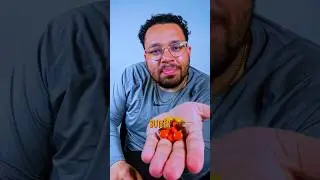 REESES PIECES ☮️#repost #candyreview #chocolate #reeses #shorts