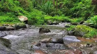 Deep Calm River &ndash; 10 Hours of ASMR for Focus, Anxiety & Stress Recovery