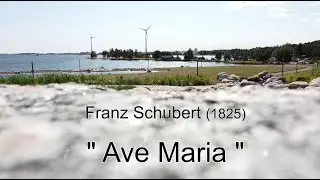 F. Schubert:  