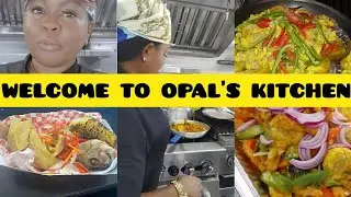Opal's Kitchen Tek Off Like PLANE... Plankanarians Flocks her kitchen for food!