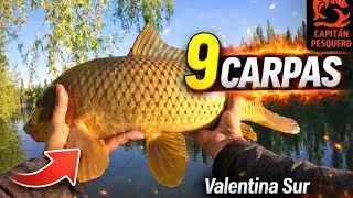 &iexcl;9 CARPAS EN 1 HORA Y MEDIA! La ma&ntilde;ana explot&oacute; en Valentina Sur 🎣🔥