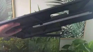 Great Starter Tank