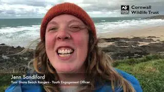 Celebrating 2020 with Cornwall Wildlife Trust's Marine projects and partners