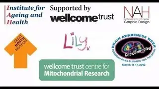 Eves Curse: The Art of Mitochondrial Research
