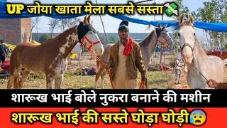 जोया खाता मेला UP 2026😰 शारूख Bhai बोले 100% गारंटी SHOCKING 😱 India&rsquo;s Most Affordable Horse Fair 🙏