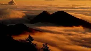 Persistent Soul &copy; - #music, #blues,