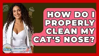 How Do I Properly Clean My Cat's Nose? - Ask A Pet Vet