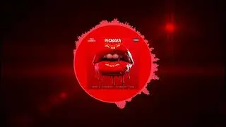 Young D,  Tana On The Beat, Over J, Lil Remo - PECADORA (Audio Oficial)