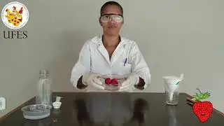 Extração do DNA do Morango - Bioquímica