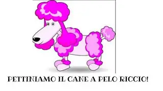 PETTINIAMO IL CANE A PELO RICCIO! - Educandog | MAX VISMARA