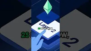 Brett: The Meme Coin Dominating Base