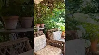 Transform Your Home: Best Outdoor Living Space Ideas on a Budget Revealed | iQuineon