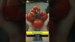 Top 10 Tomato Producing State In India