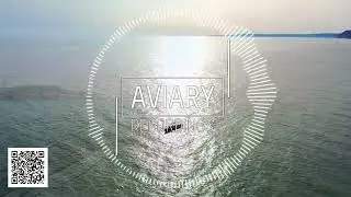 Cary Crank & Helius feat  Aves Volare - Empty Space (Blanka Barbara Remix)