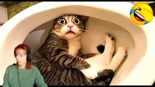Funniest Baby Videos Compilation 😆 | Try Not to Laugh Challenge!