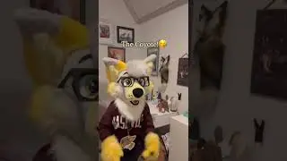 The Coyote!🥳🐕 #shorts #viral #boost #fyp #furries #fursona #coyote
