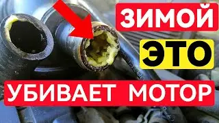 Почему Зимой Выдавливает Масло? Частая Ошибка Водителей