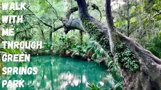 Walk W/Me Through The Gorgeous Trees Of Green Springs Park While Thunder Rolls ~ Deltona, Florida
