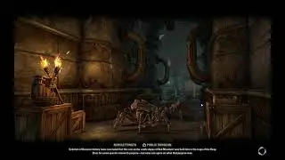 Bandit Queen doing some public dungeons with a friend.