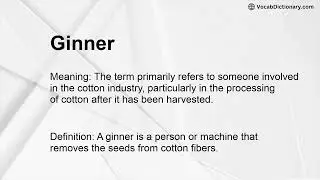 Ginner Meaning