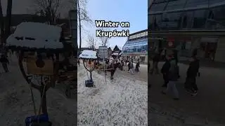 Winter Walk on Krup&oacute;wki - Horses & Carriages in Zakopane