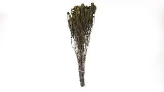 Vickerman 16-22