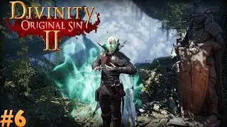 Let's Play Divinity Original Sin 2 - Fane Tactition - Ep 6