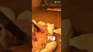 beavis le caillou