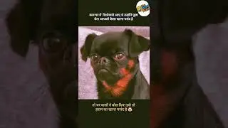 #funny #laugher #memes #podcast #trynottolaugh #laughing #laughtrip #laugh #relatablememes #memelife